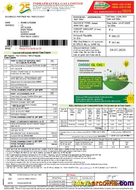 India Indraprastha Gas utility bill